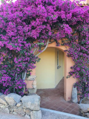 Al Bougainvillea